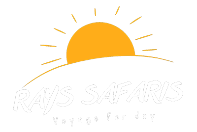 Rays Safaris