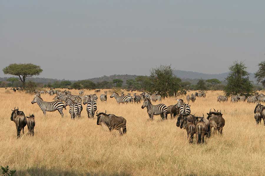 Serengeti National Park