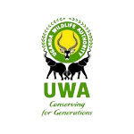 uwa