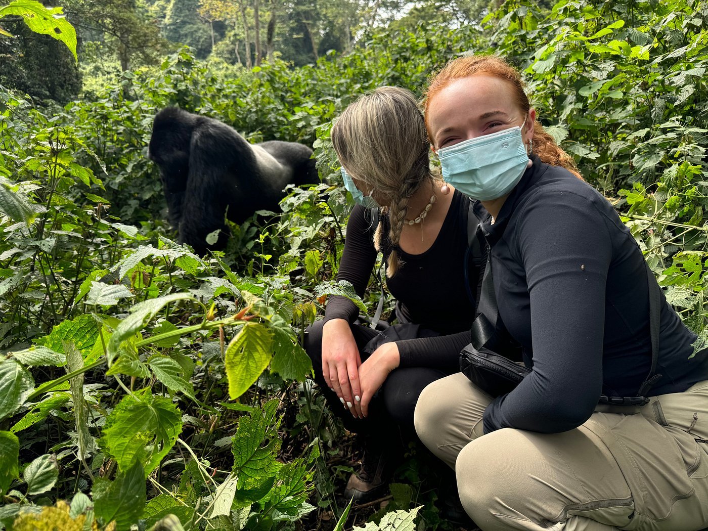 You are currently viewing 12-Day Gorilla Tour and Safari Vacation in Rwanda, Uganda