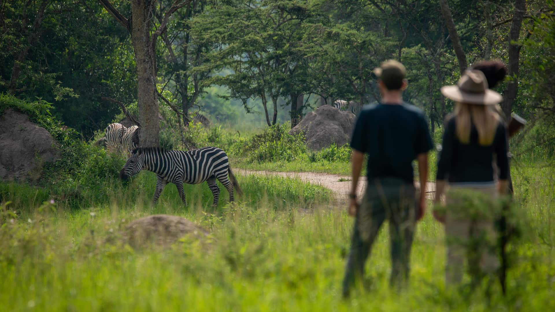 You are currently viewing 14-Day Customized Safari Holiday & Tour of Rwanda, Uganda