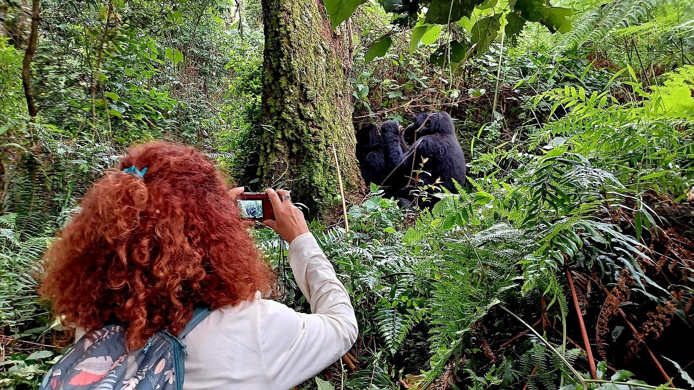 You are currently viewing 15-Day Gorilla Trekking Tour and Safari Holiday in Uganda