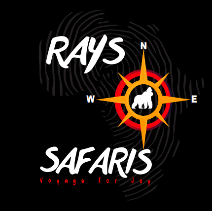 Rays Safaris